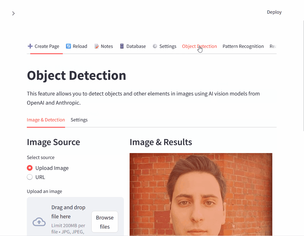 Object Detection